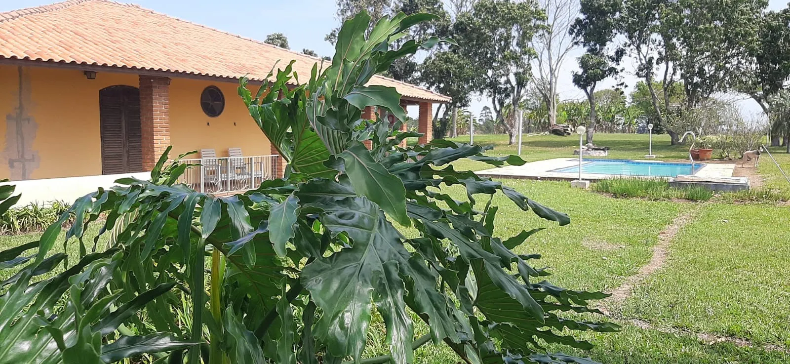 Sítio à venda de 7 ha em Sarapuí, SP, Brasil