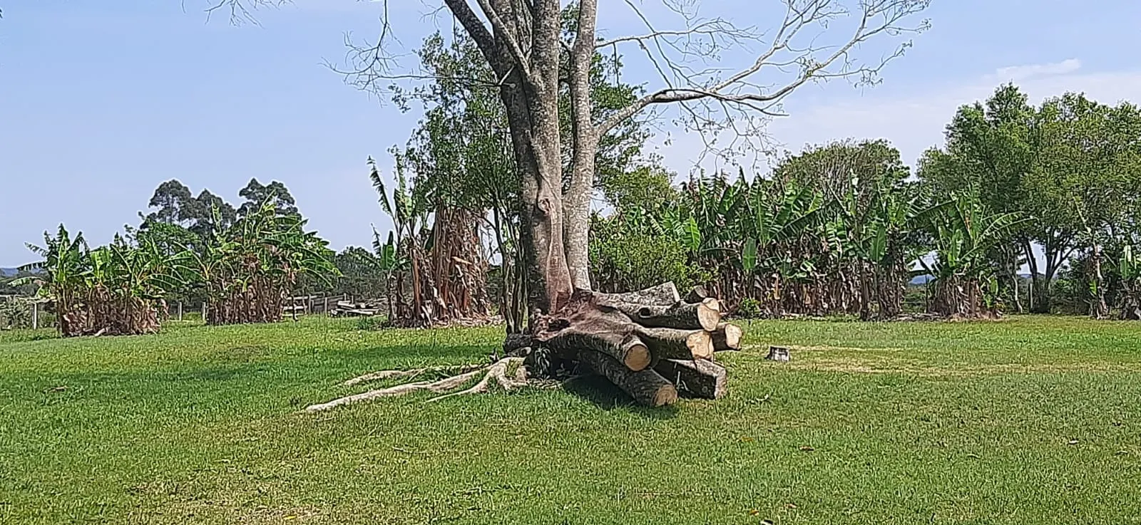 Sítio à venda de 7 ha em Sarapuí, SP, Brasil