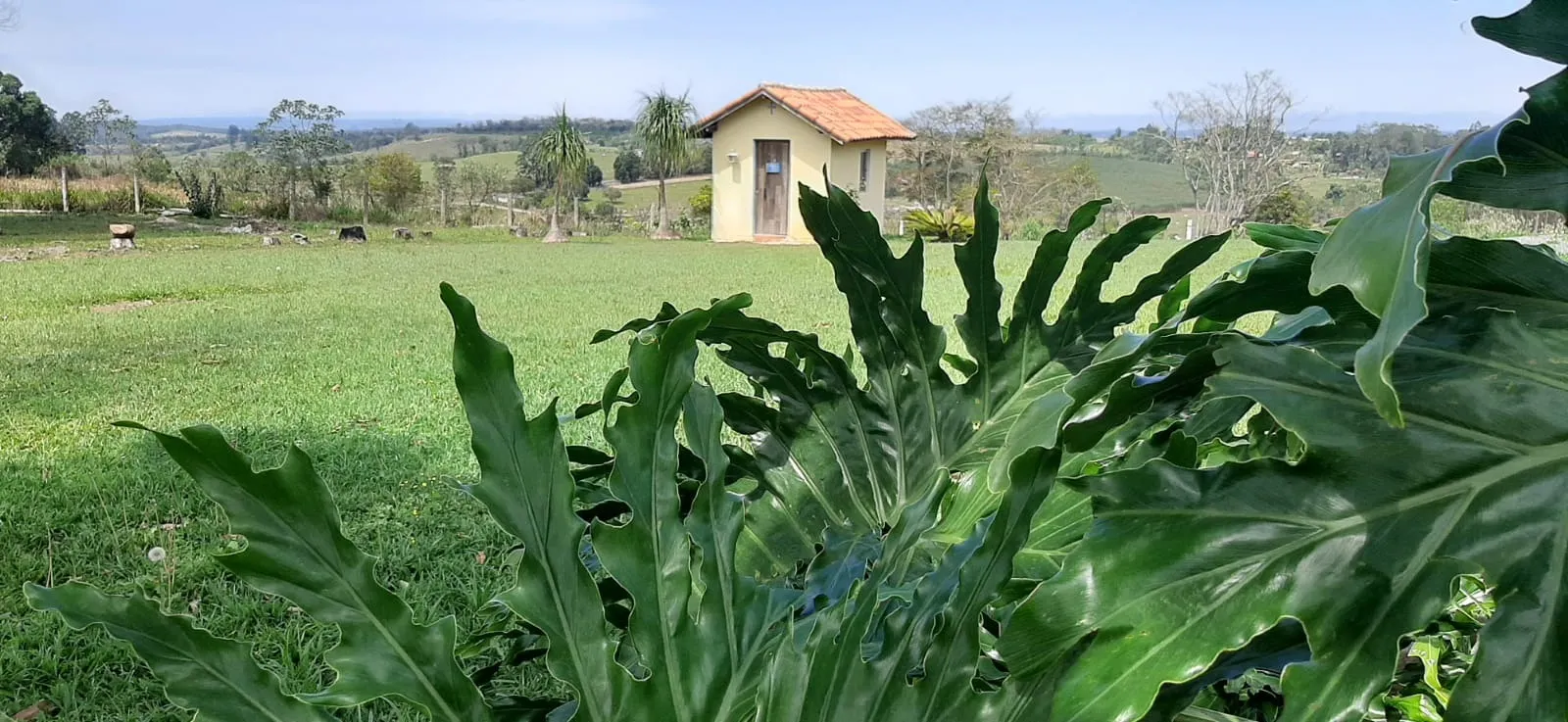 Sítio à venda de 7 ha em Sarapuí, SP, Brasil
