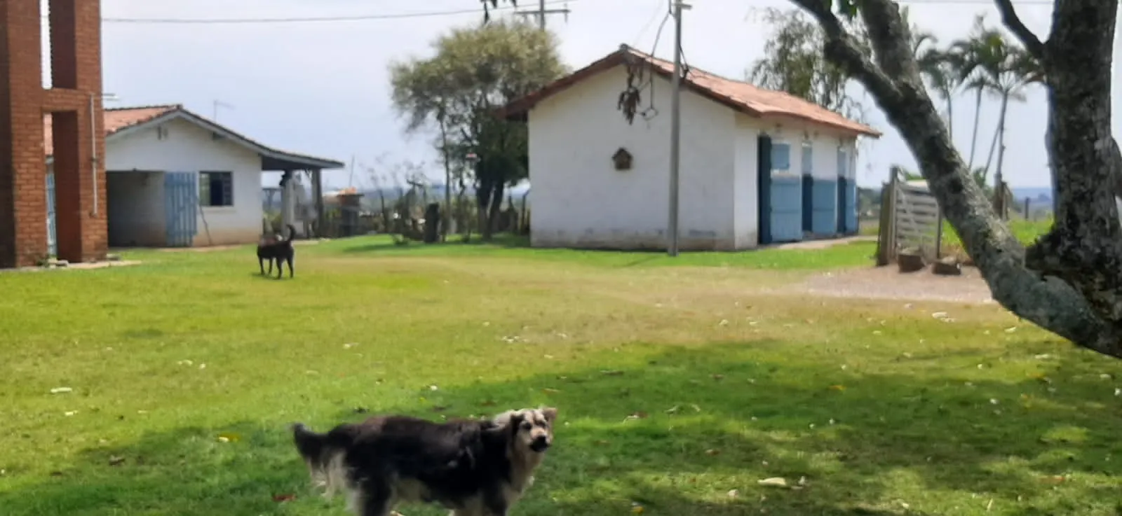 Sítio à venda de 7 ha em Sarapuí, SP, Brasil