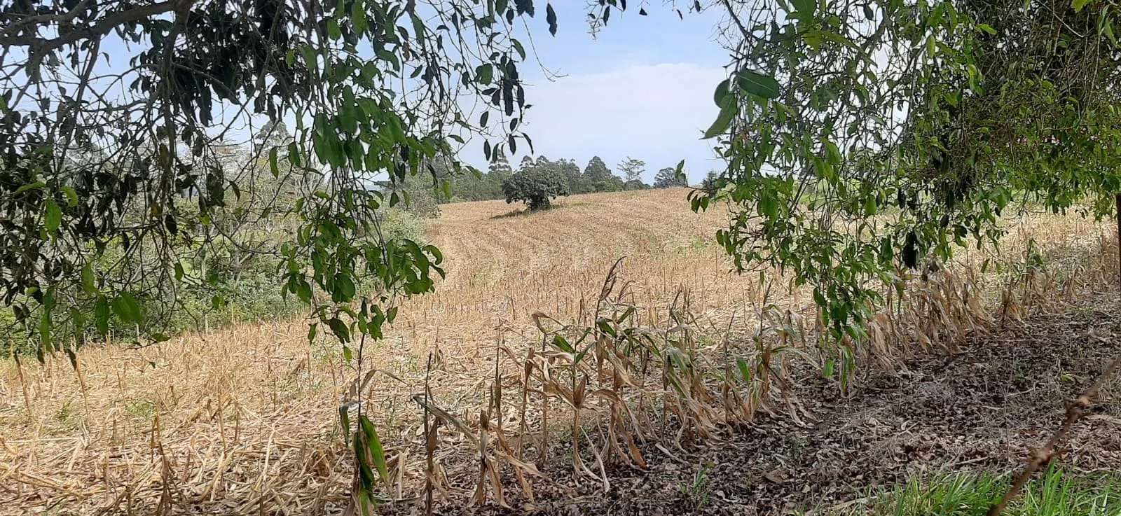 Sítio à venda de 7 ha em Sarapuí, SP, Brasil