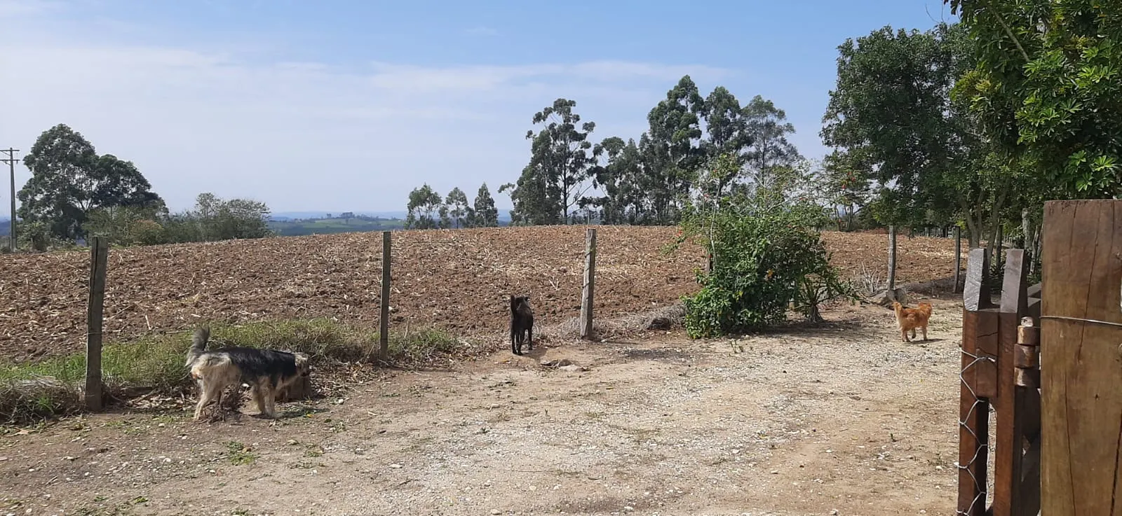 Sítio à venda de 7 ha em Sarapuí, SP, Brasil