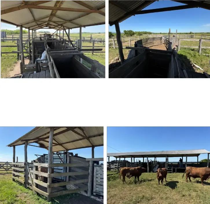 Comercial à venda de 657 ha em Paraguarí, Paraguai