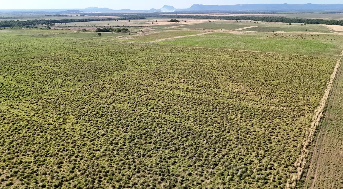 Comercial à venda de 657 ha em Paraguarí, Paraguai