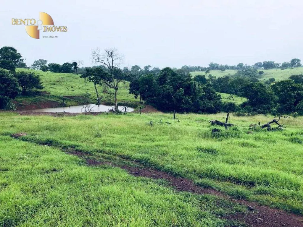 Fazenda à venda de 1.180 ha em Poxoréu, MT, Brasil