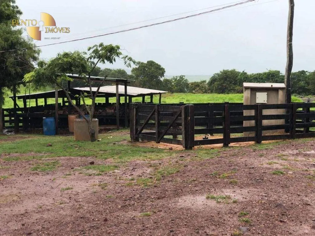 Fazenda à venda de 1.180 ha em Poxoréu, MT, Brasil