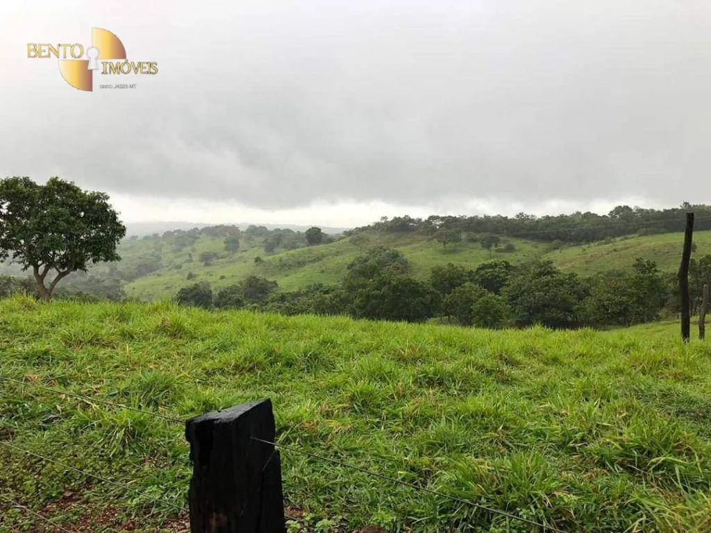 Fazenda à venda de 1.180 ha em Poxoréu, MT, Brasil