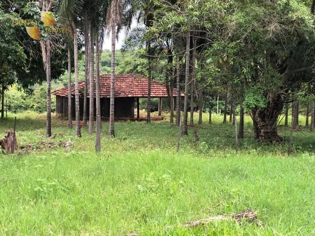 Fazenda à venda de 1.180 ha em Poxoréu, MT, Brasil