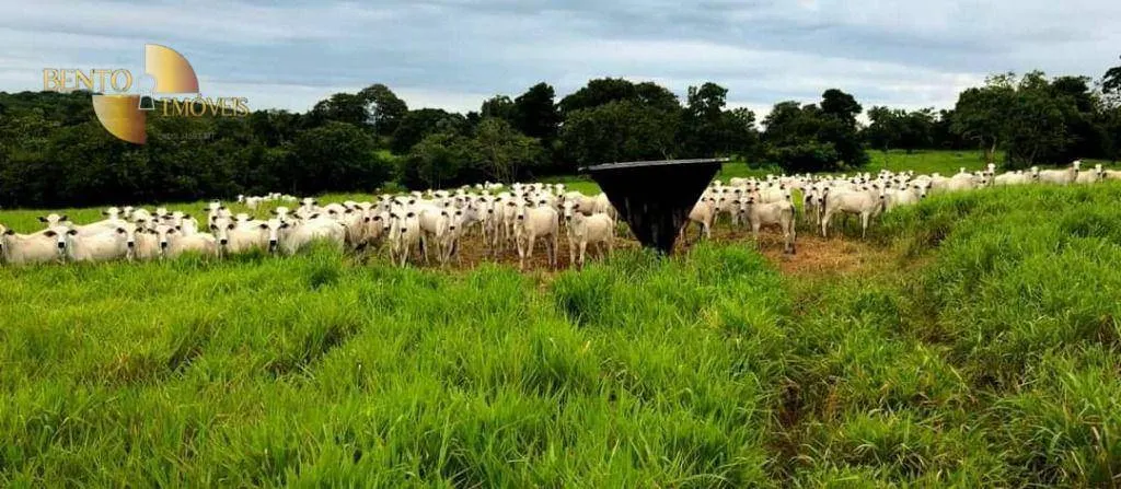 Fazenda à venda de 1.180 ha em Poxoréu, MT, Brasil