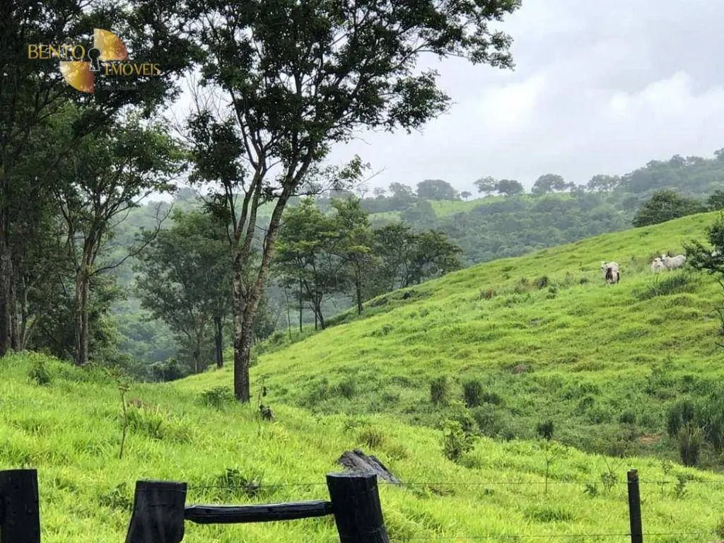 Fazenda à venda de 1.180 ha em Poxoréu, MT, Brasil