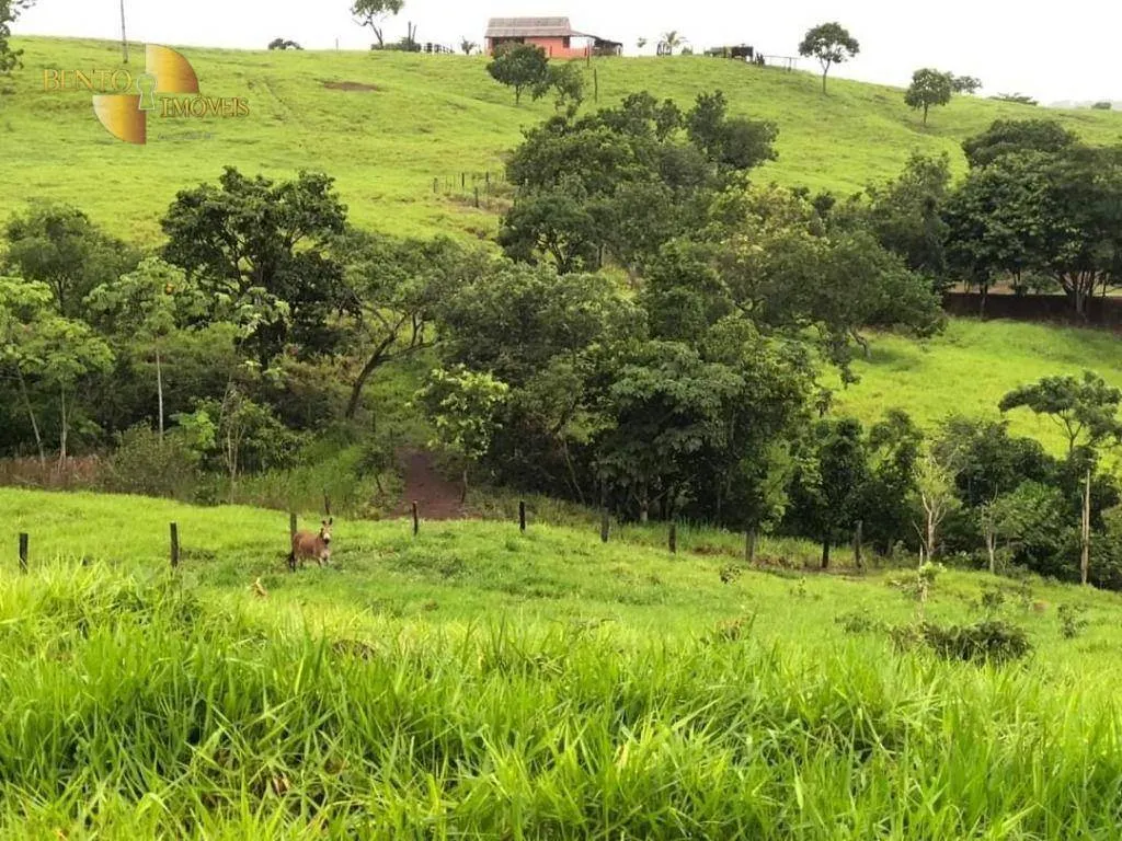 Fazenda à venda de 1.180 ha em Poxoréu, MT, Brasil