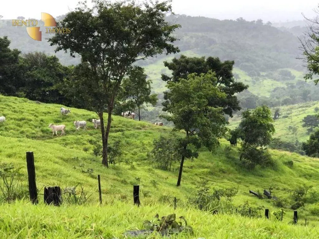 Fazenda à venda de 1.180 ha em Poxoréu, MT, Brasil