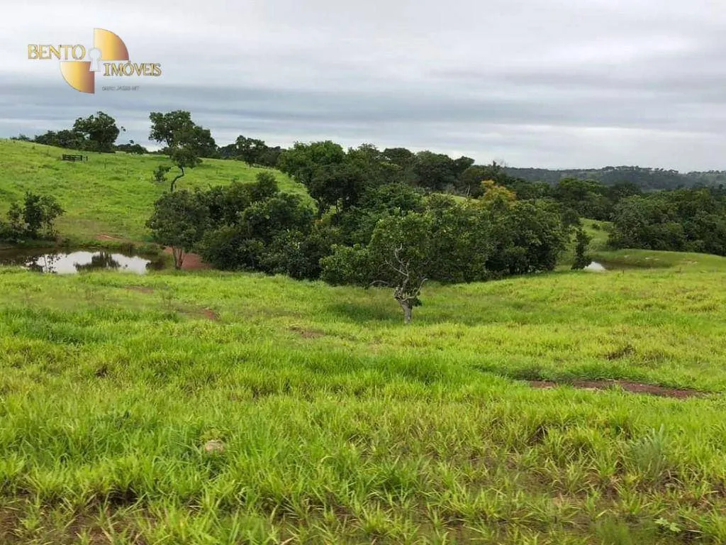 Fazenda à venda de 1.180 ha em Poxoréu, MT, Brasil