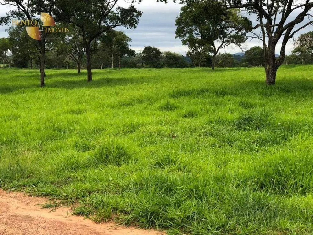 Fazenda à venda de 1.180 ha em Poxoréu, MT, Brasil