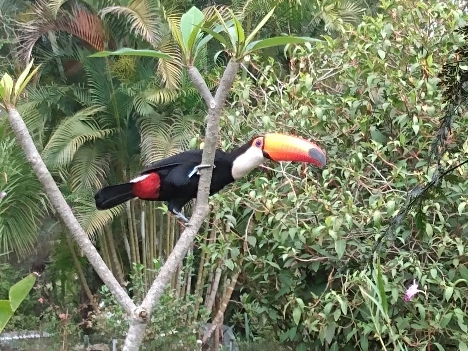 Sítio à venda de 3 ha em São José dos Campos, SP, Brasil