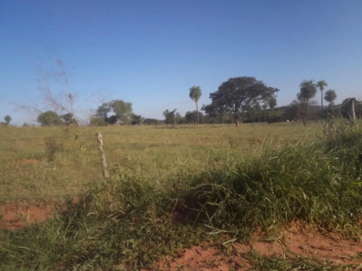 Fazenda à venda de 172 ha em Tupã, SP, Brasil