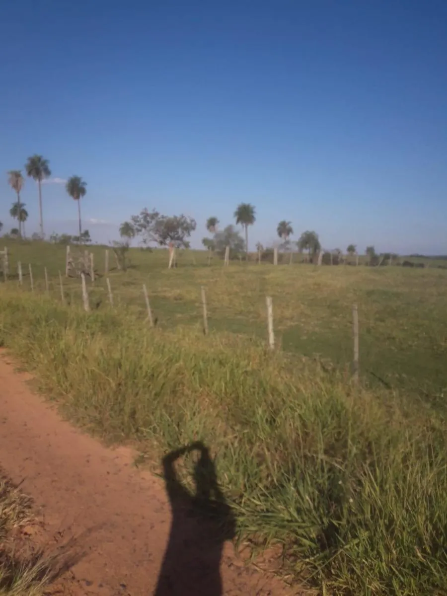 Fazenda à venda de 172 ha em Tupã, SP, Brasil