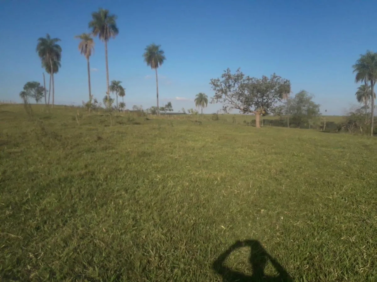Fazenda à venda de 172 ha em Tupã, SP, Brasil