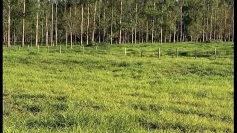 Fazenda à venda de 386 ha em Rio Real, BA, Brasil
