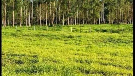 Fazenda à venda de 386 ha em Rio Real, BA, Brasil