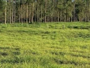 Fazenda à venda de 386 ha em Rio Real, BA, Brasil