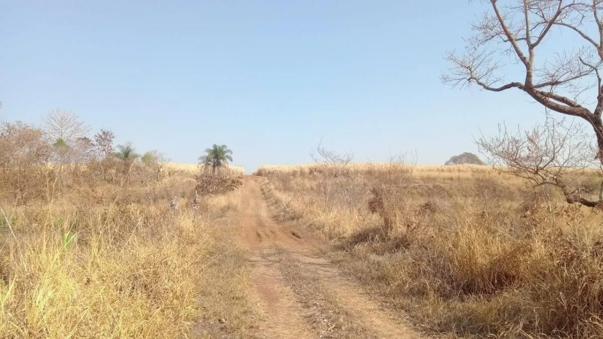 Fazenda à venda de 131 ha em Barretos, SP, Brasil