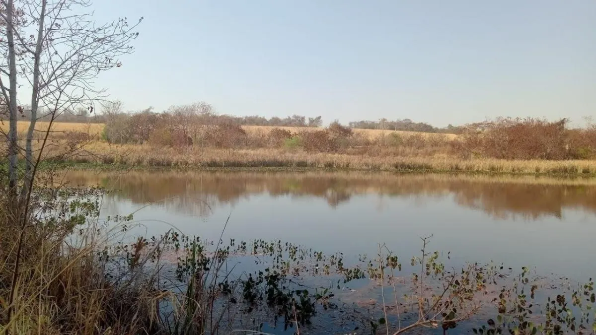 Fazenda à venda de 131 ha em Barretos, SP, Brasil