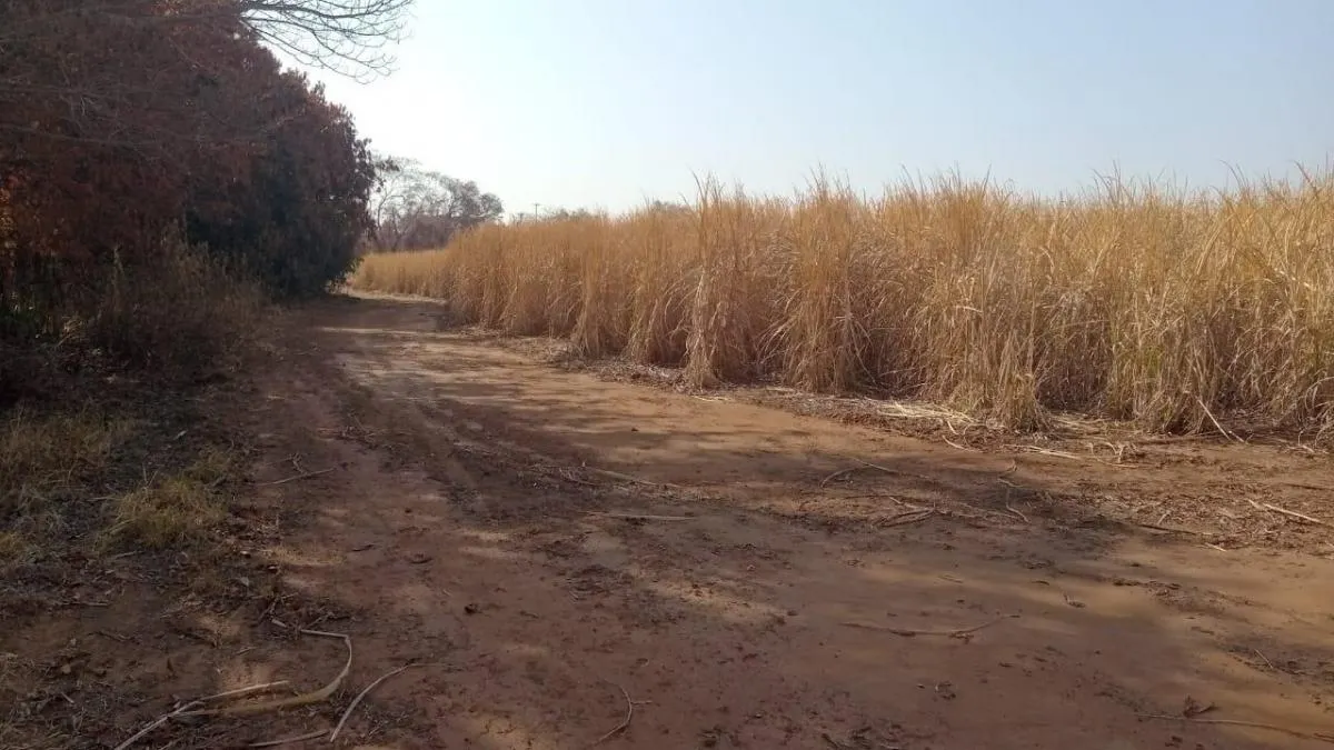 Fazenda à venda de 131 ha em Barretos, SP, Brasil