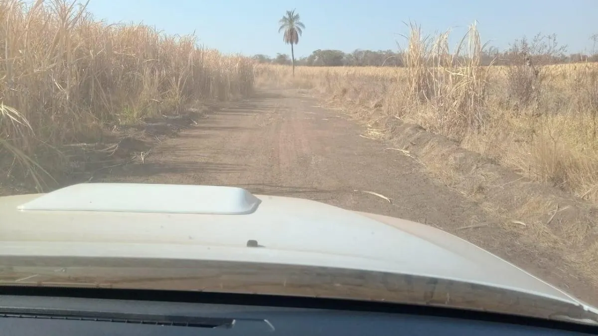 Fazenda à venda de 131 ha em Barretos, SP, Brasil