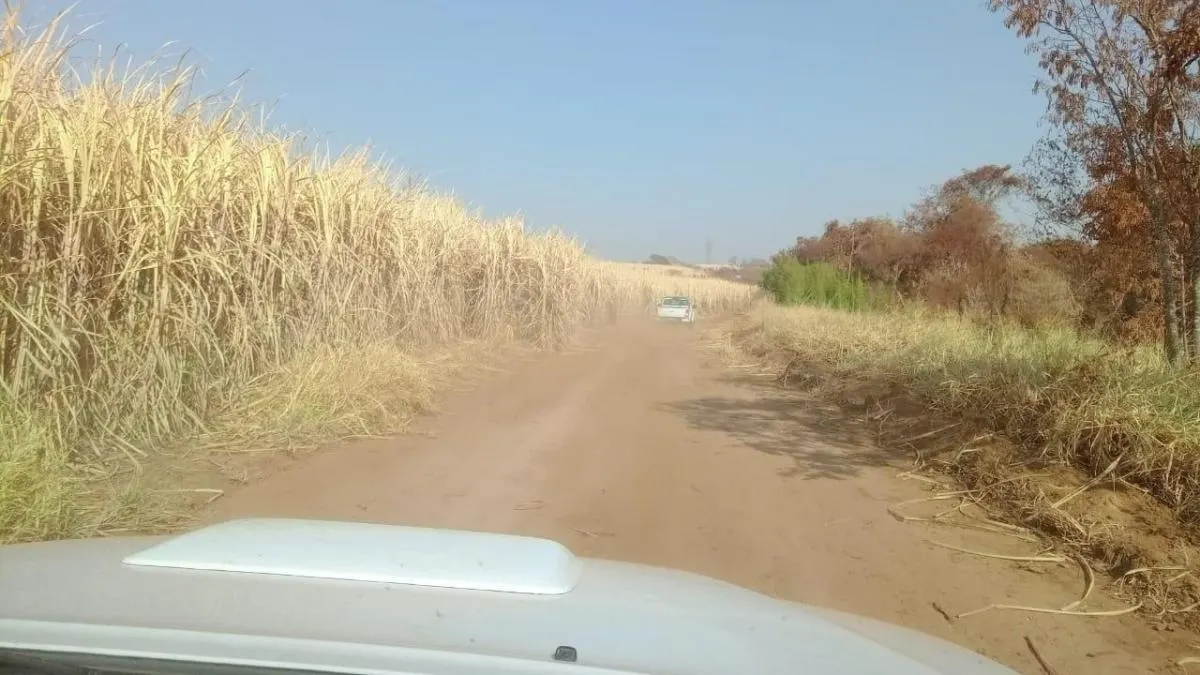 Fazenda à venda de 131 ha em Barretos, SP, Brasil