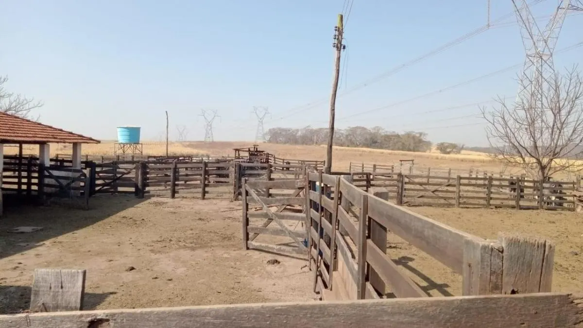 Fazenda à venda de 131 ha em Barretos, SP, Brasil