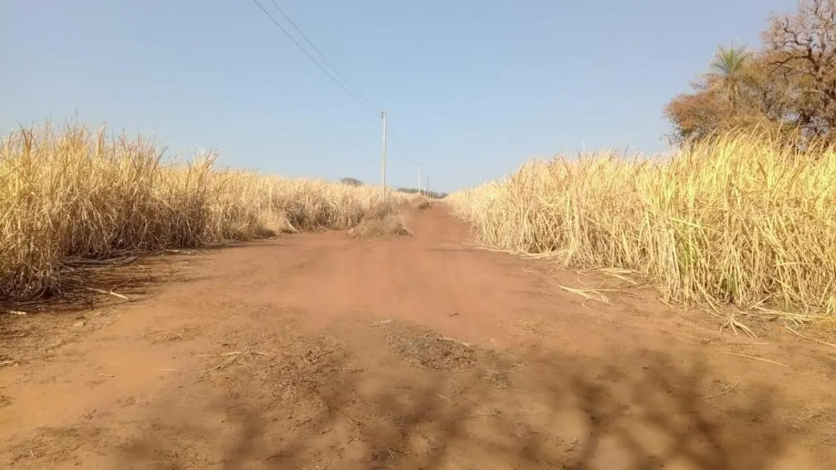 Fazenda à venda de 131 ha em Barretos, SP, Brasil