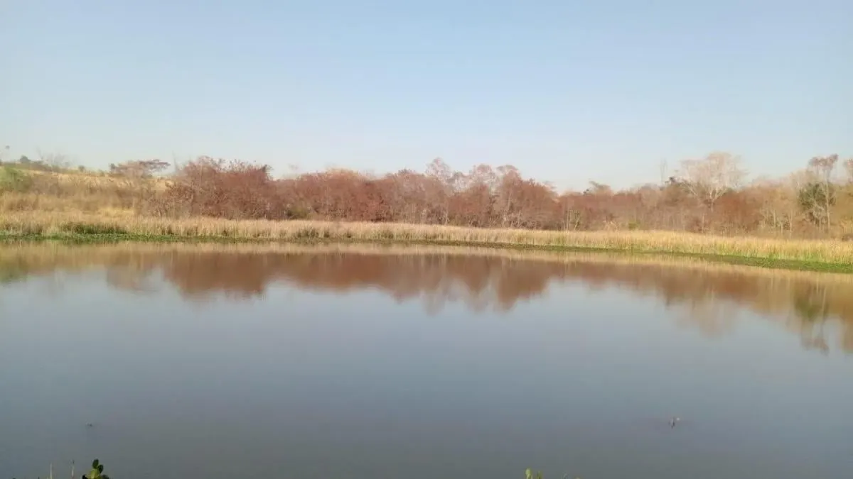Fazenda à venda de 131 ha em Barretos, SP, Brasil
