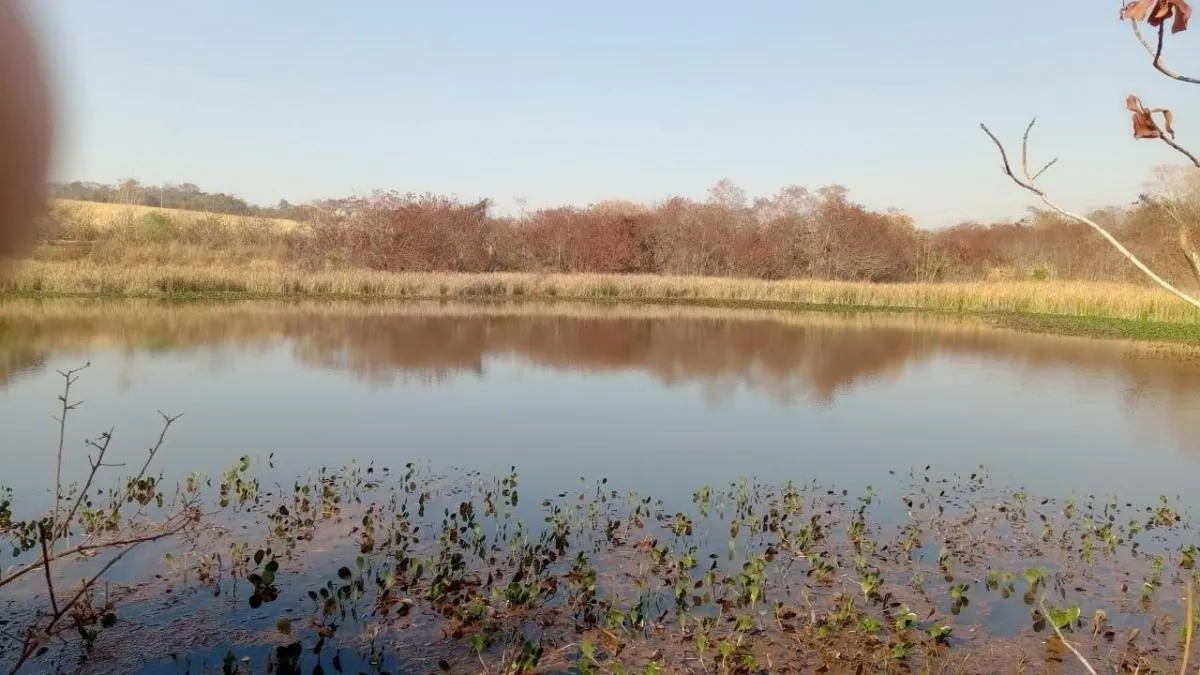 Fazenda à venda de 131 ha em Barretos, SP, Brasil