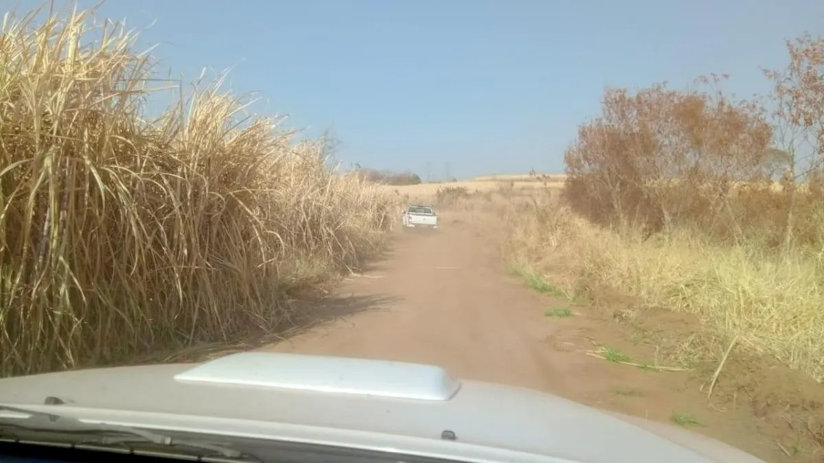 Fazenda à venda de 131 ha em Barretos, SP, Brasil