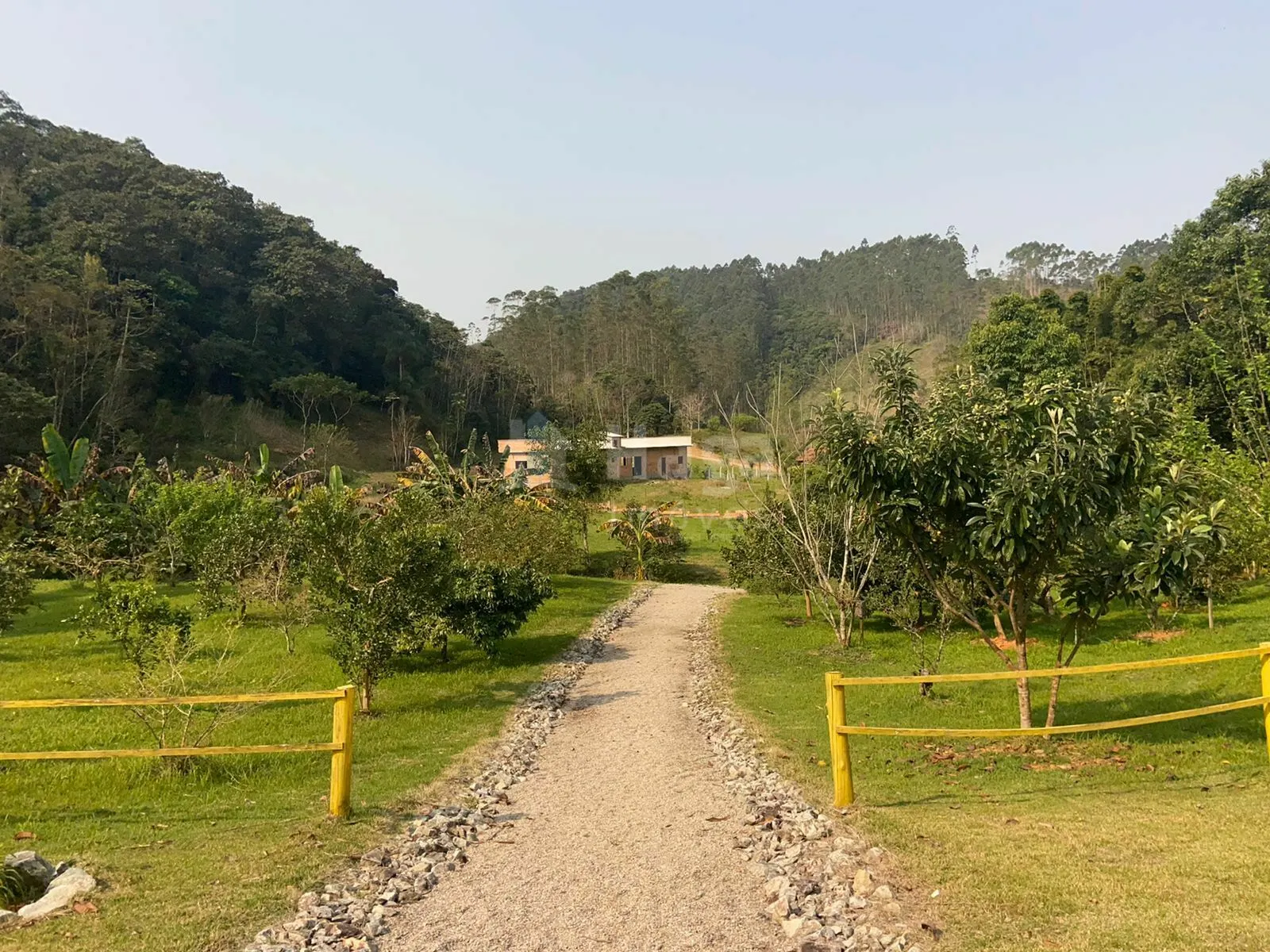Fazenda à venda de 9.800 m² em Canelinha, SC, Brasil