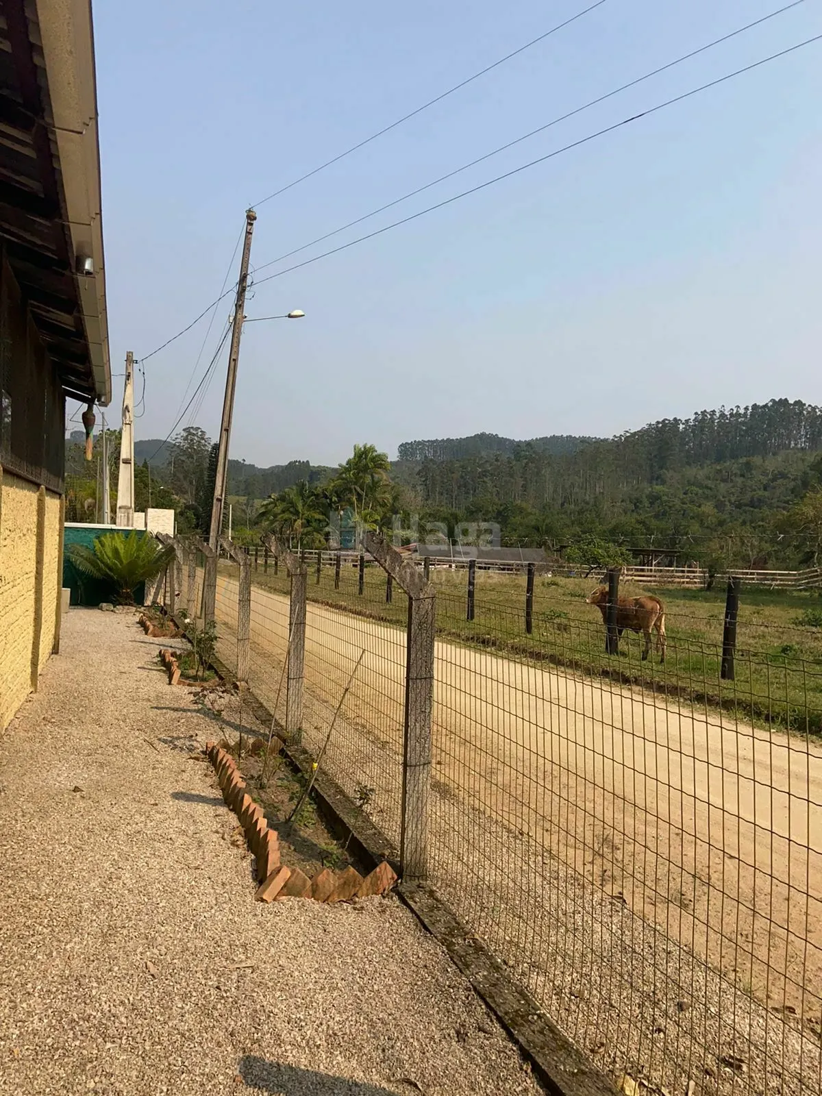 Fazenda à venda de 9.800 m² em Canelinha, SC, Brasil