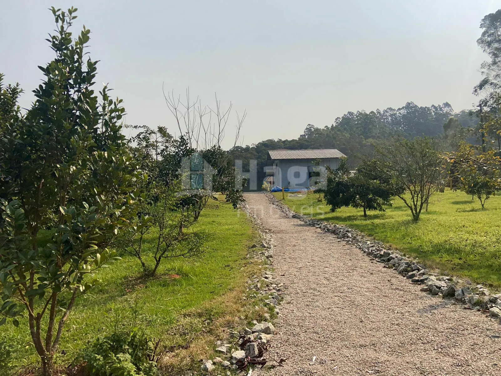 Fazenda à venda de 9.800 m² em Canelinha, SC, Brasil
