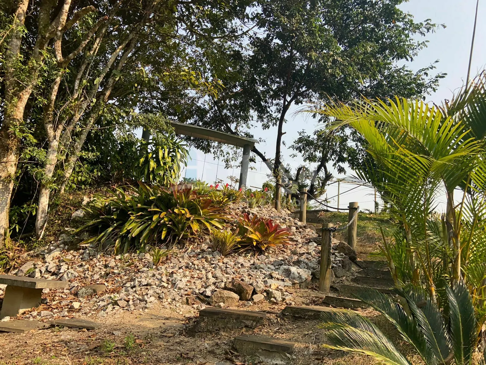 Fazenda à venda de 9.800 m² em Canelinha, SC, Brasil