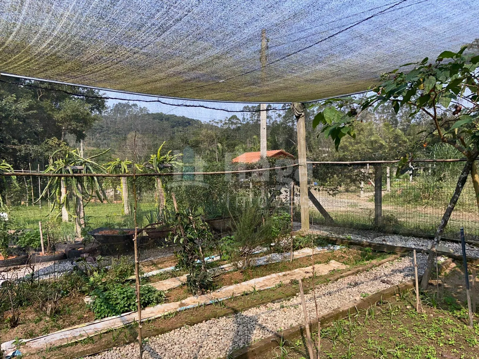 Fazenda à venda de 9.800 m² em Canelinha, SC, Brasil
