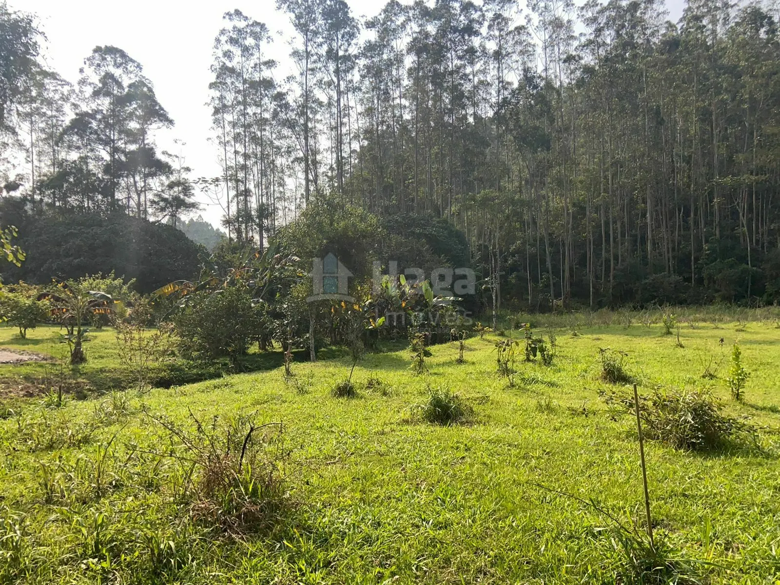 Fazenda à venda de 9.800 m² em Canelinha, SC, Brasil