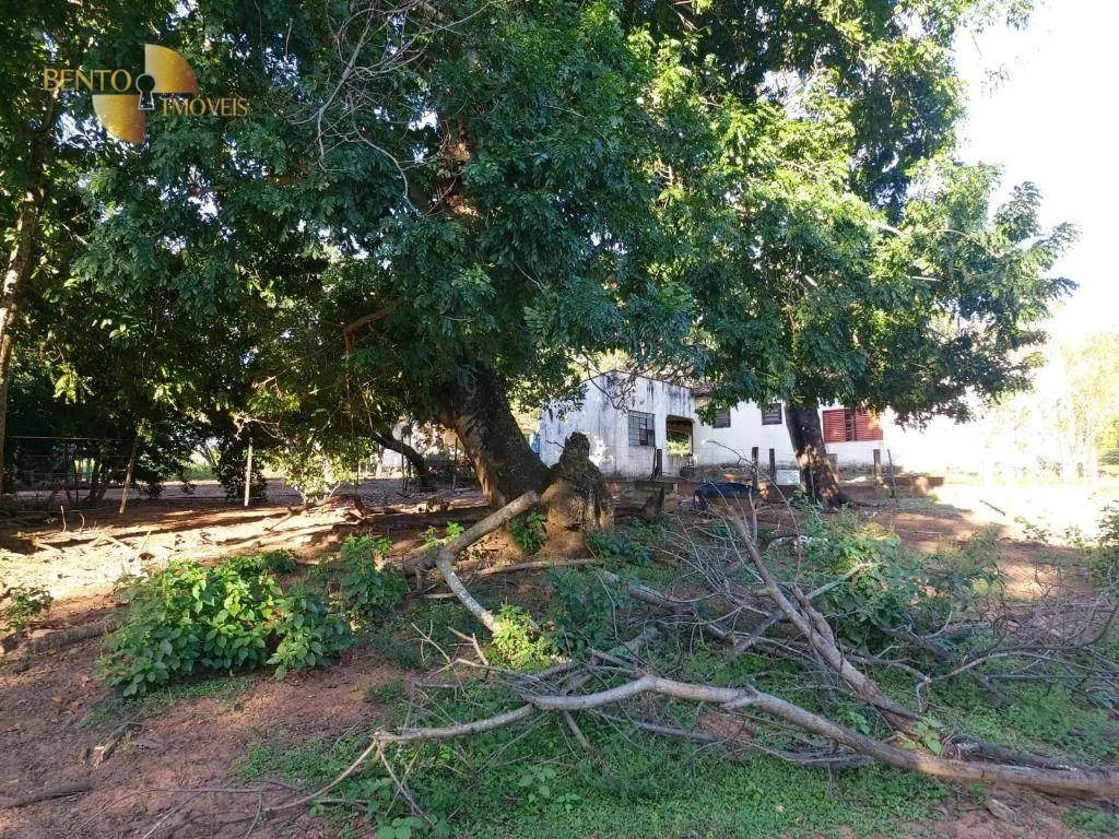 Fazenda à venda de 167 ha em Poxoréu, MT, Brasil