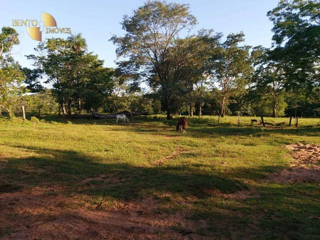 Fazenda à venda de 167 ha em Poxoréu, MT, Brasil