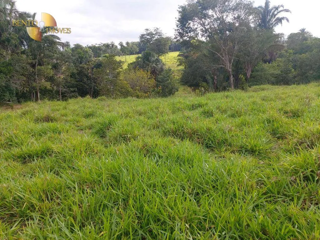 Fazenda à venda de 167 ha em Poxoréu, MT, Brasil
