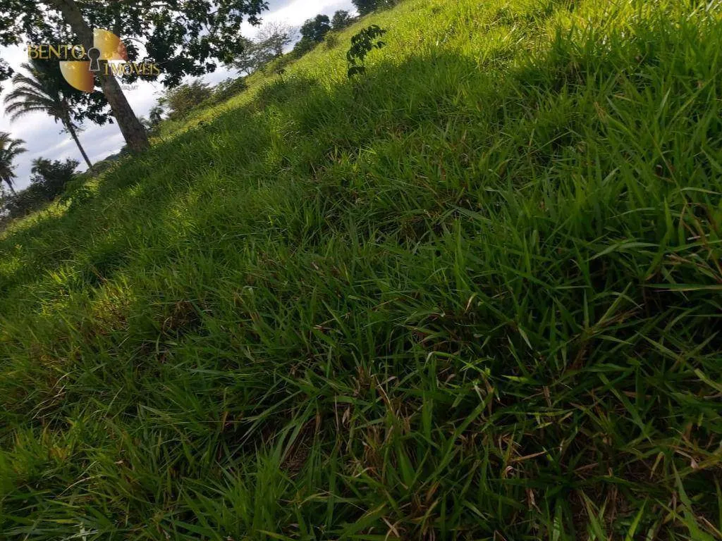 Fazenda à venda de 167 ha em Poxoréu, MT, Brasil