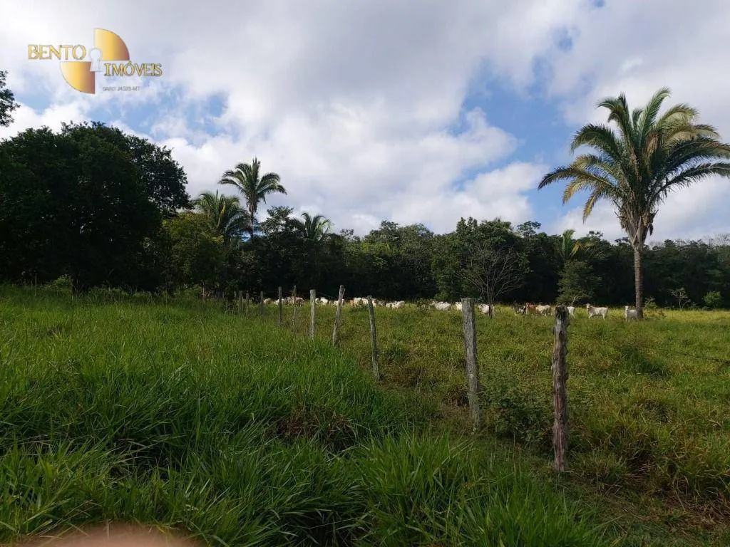 Fazenda à venda de 167 ha em Poxoréu, MT, Brasil