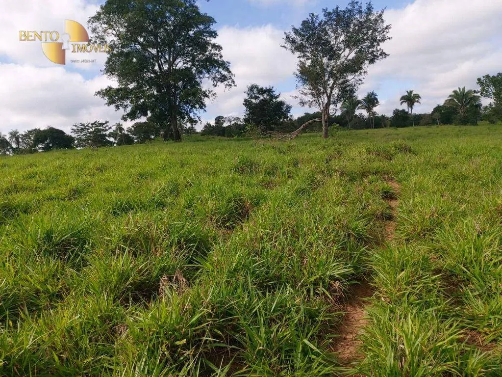 Fazenda à venda de 167 ha em Poxoréu, MT, Brasil
