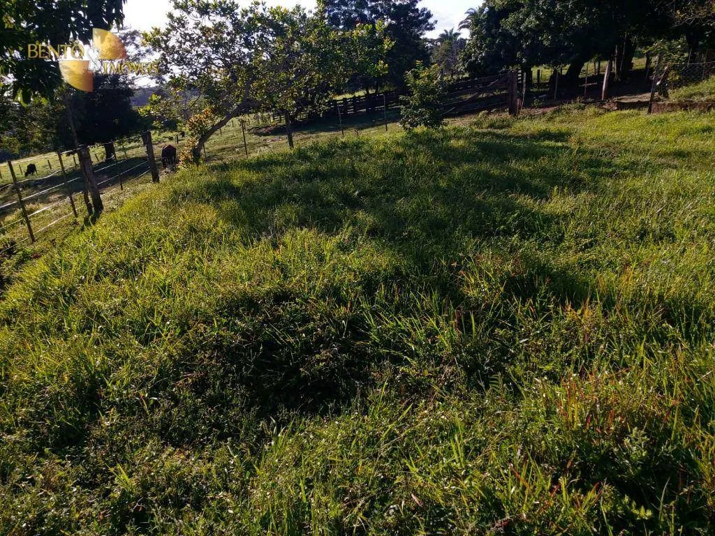 Fazenda à venda de 167 ha em Poxoréu, MT, Brasil
