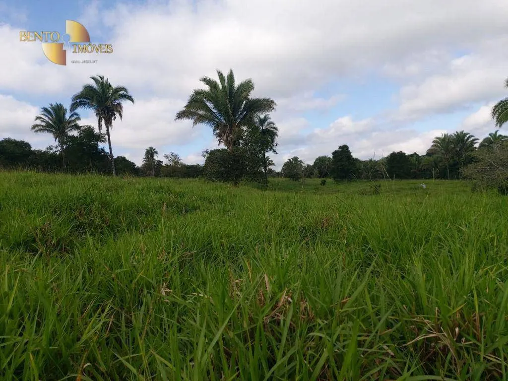 Fazenda à venda de 167 ha em Poxoréu, MT, Brasil