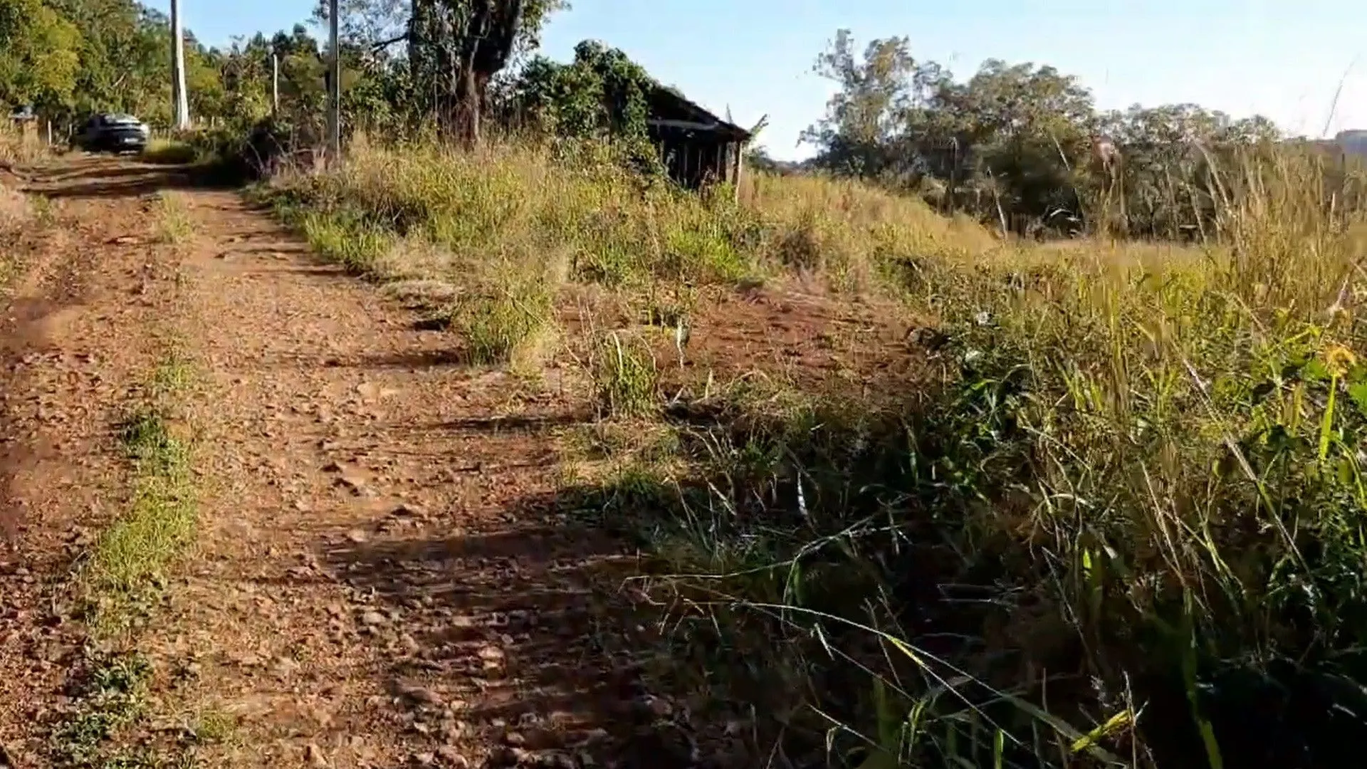Chácara à venda de 3 ha em Taquara, RS, Brasil